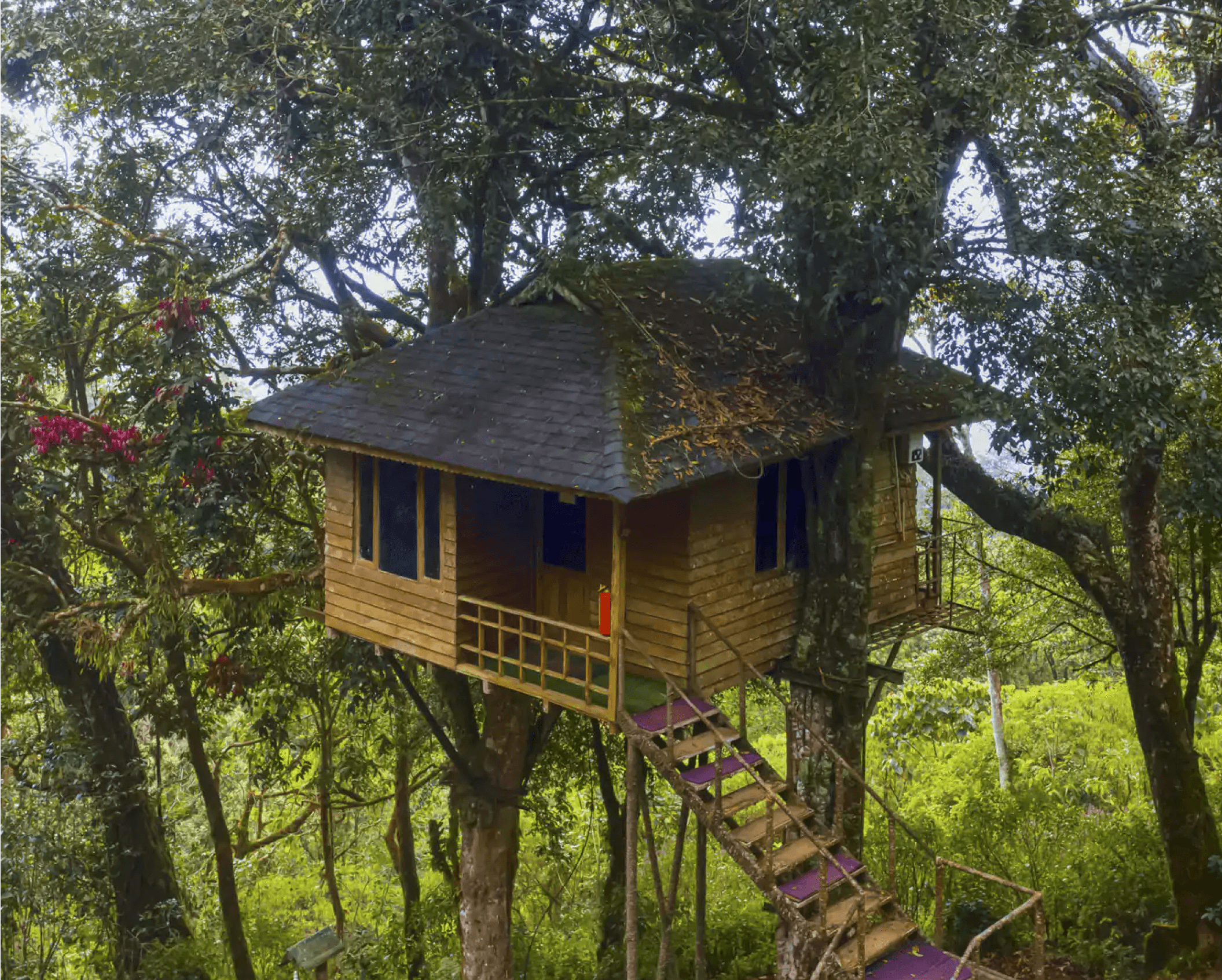 Nature Zone Resort